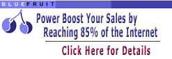 Power Boost Your Sales - Reach 85% of the Internet!