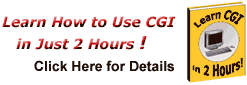 Learn How To Use CGI In Just 2 Days!