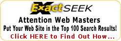 Put Your Web Site in the Top 10 Search Results!