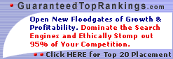 Guaranteed Top 20 Placement - Dominate the Search Engines!