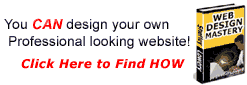 Design Your Own Professional-Looking Web Site