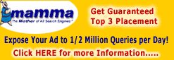 Expose Your Ad to 1/2 Million Queries Per Day!