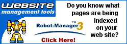 Find Out What Pages Are Being Indexed on Your Site!