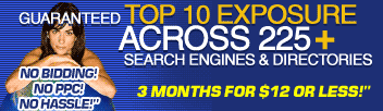 The Web's Most Affordable Search Engine Program!