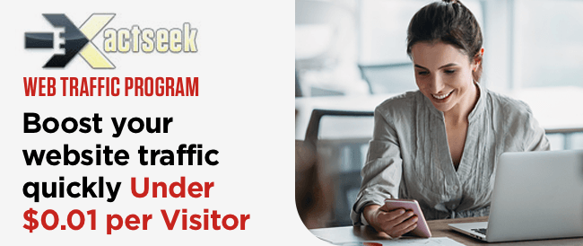 Web Traffic Program