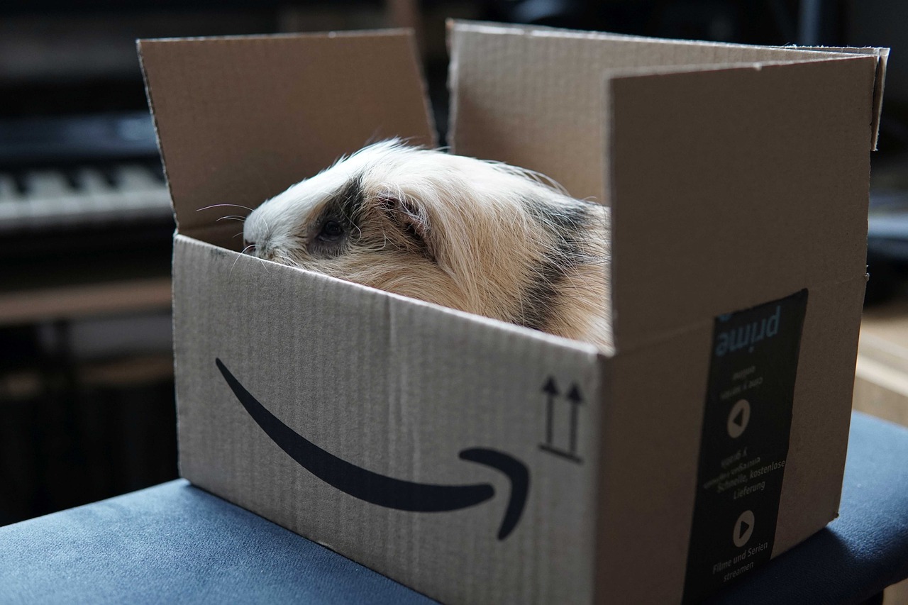 Is Amazon Prime Really Worth It?